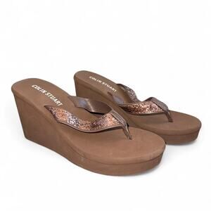 Vintage Y2K Brown Heeled Flip Flops Glitter Straps – Size 6.5 Early 2000s